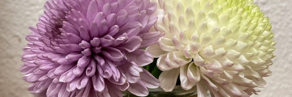 KMDIAZ44 Profile Banner