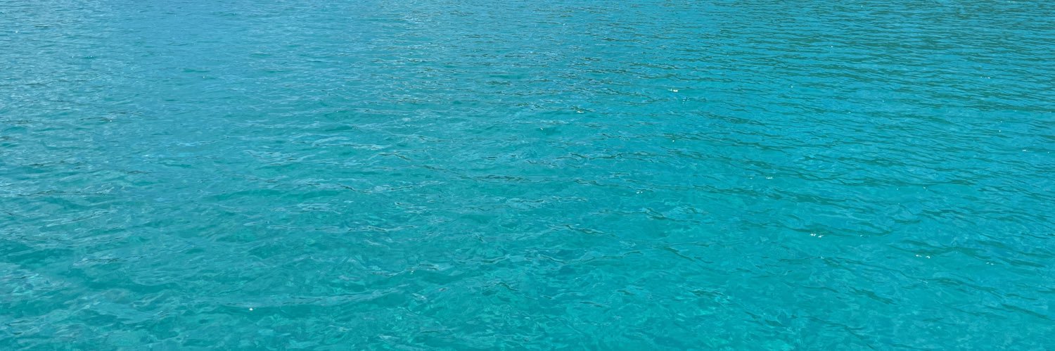 Kathy Jackson banner