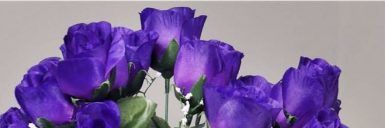 Nadou1204's profile banner image