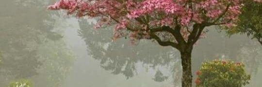 dami_2012's profile banner image