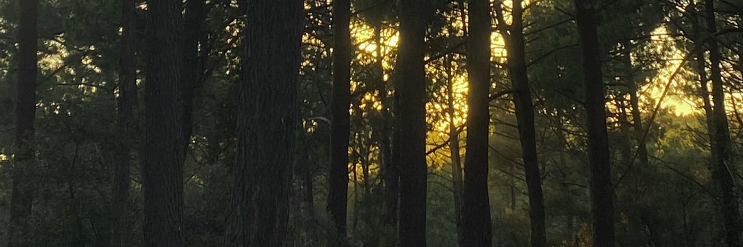 Emma_lpt's profile banner image