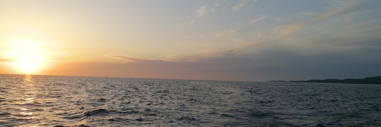 bombobey's profile banner image