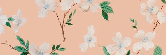 lilcaitles's profile banner image