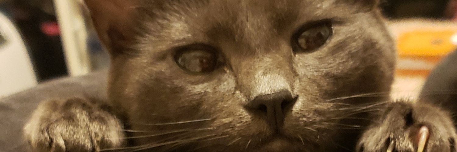 markhax's profile banner image