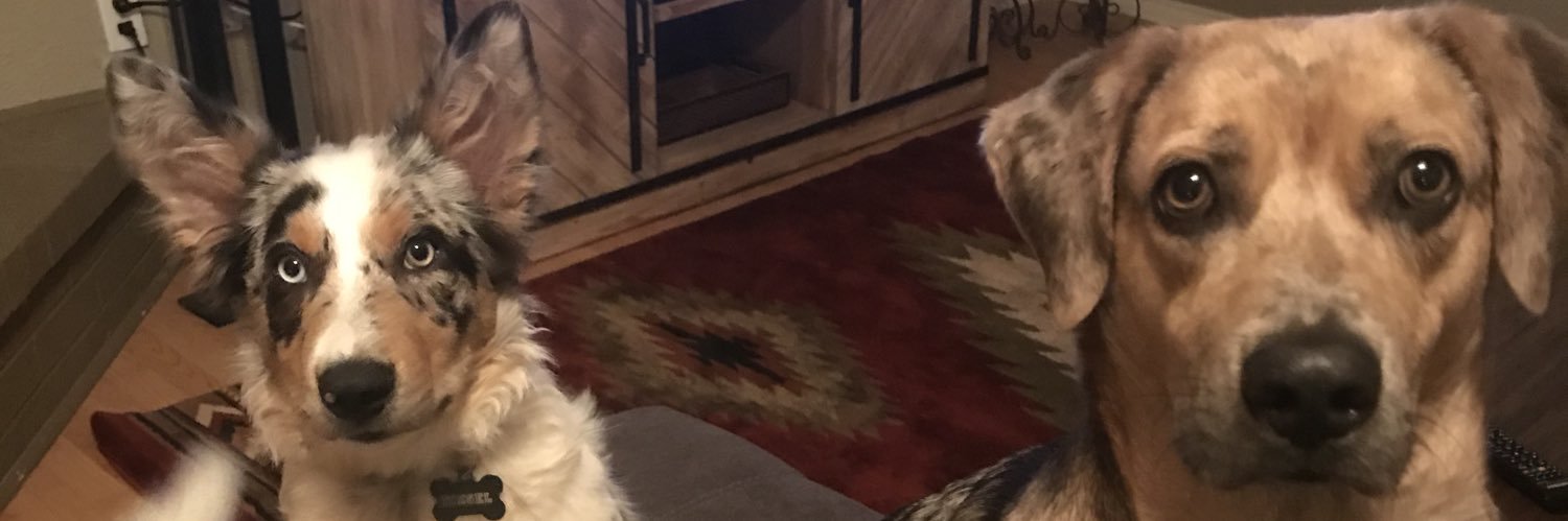 Whitney_Cowley's profile banner image