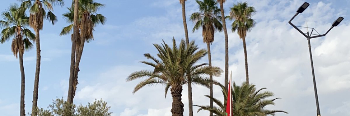 AqebAli's profile banner image