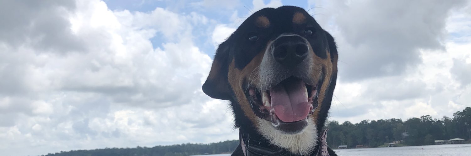 kcklug11's profile banner image