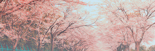 krislyyramirez's profile banner image