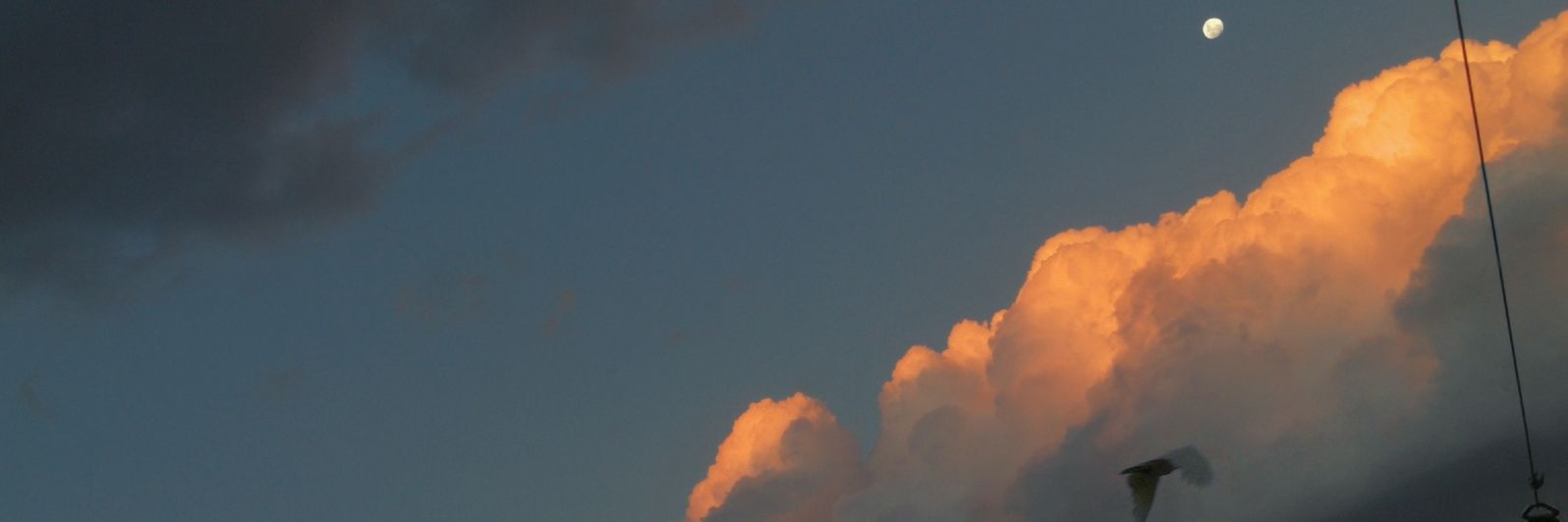 timelittlemore's profile banner image