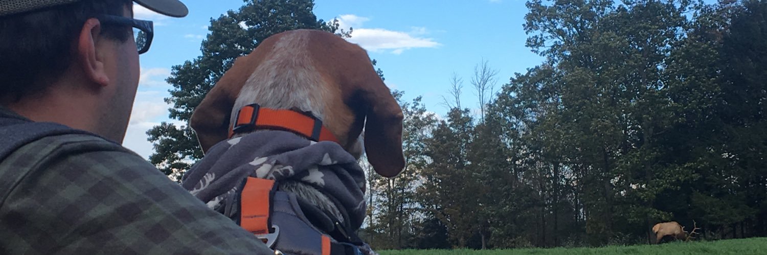 WerryGose's profile banner image