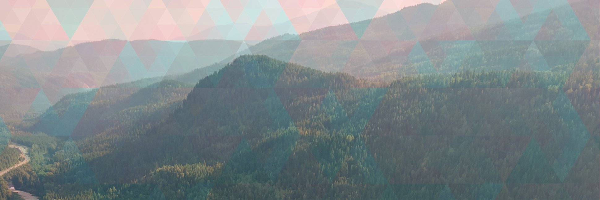 _lidermaan's profile banner image