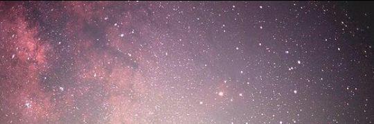 StylesLeonie's profile banner image