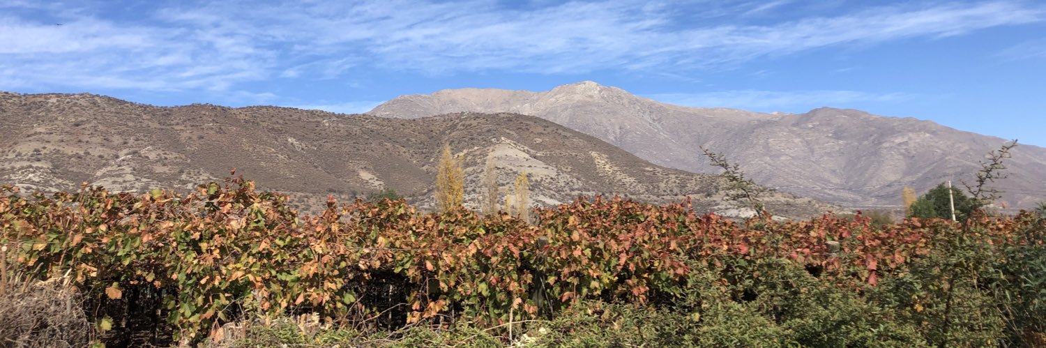 Luis Rivera C. banner