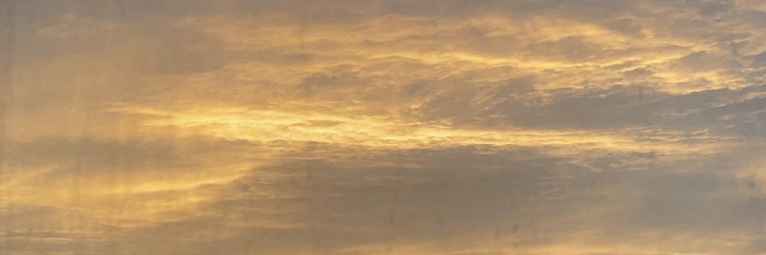 MariimOmar's profile banner image
