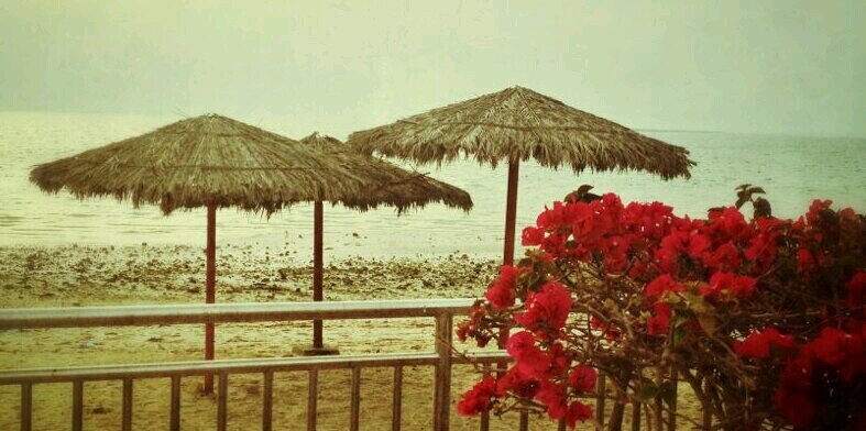 reeem_ali's profile banner image