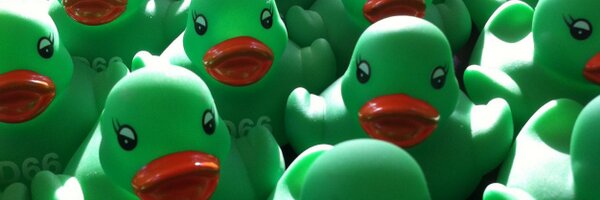 D66Capelle Profile Banner