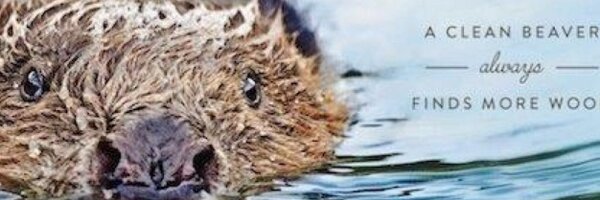 kezzra Profile Banner