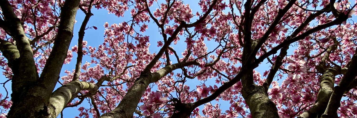 Austin 🌊💌 (now on bsky) banner