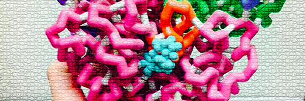 lya_sim Profile Banner