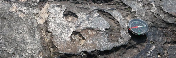 LETILEITE Profile Banner