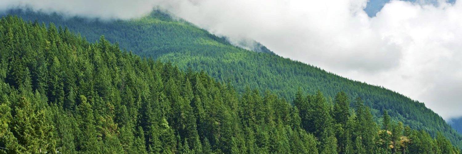 BC Council of Forest Industries's banner
