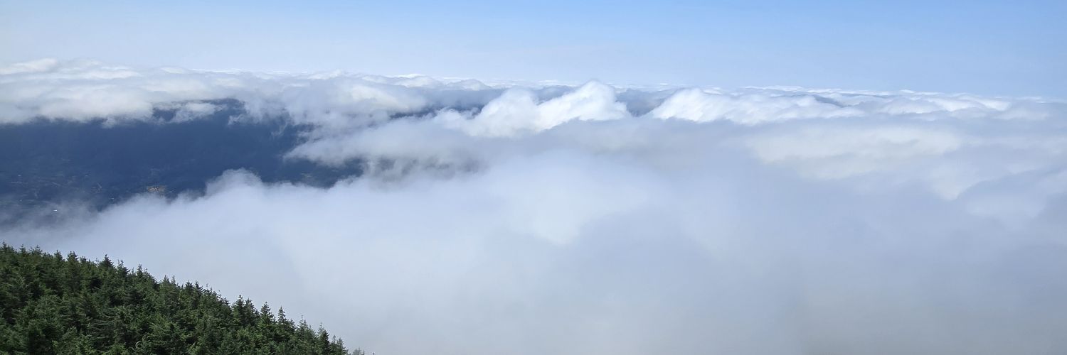 Jose_Random321's profile banner image