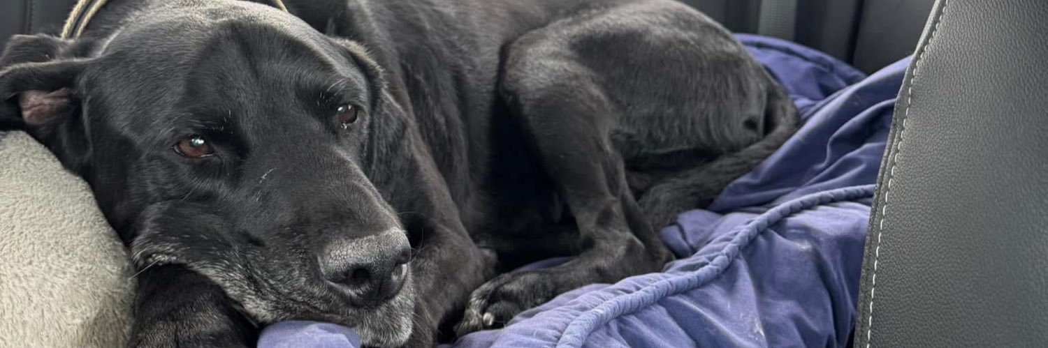 Jackson Miller banner