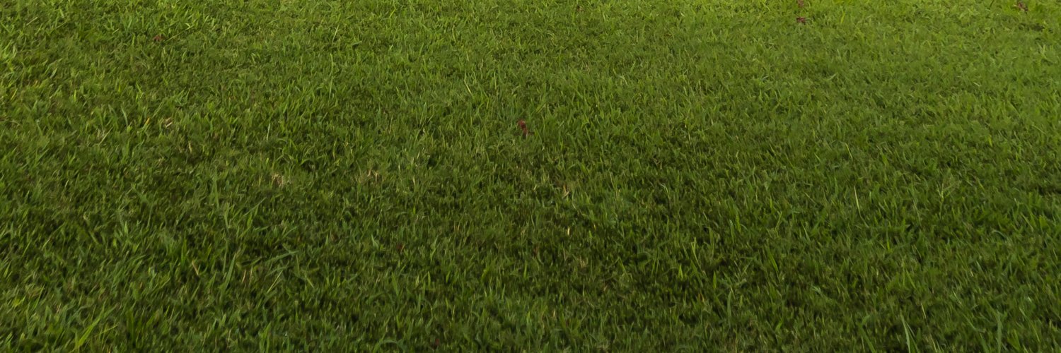 BretDCarroll's profile banner image