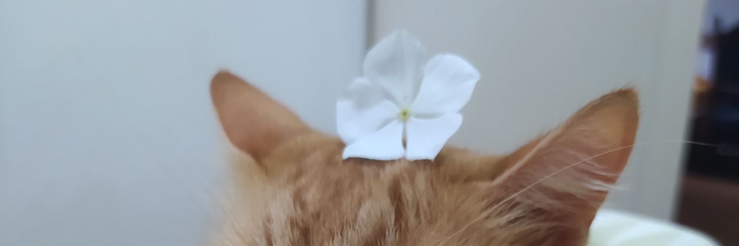 valleyp22's profile banner image