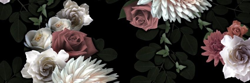 _meeshtron's profile banner image