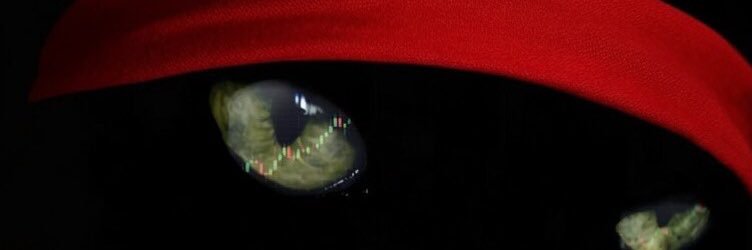 Ari__2020's profile banner image