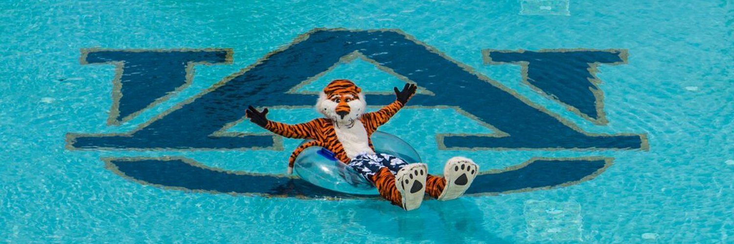 Aubie the Tiger banner
