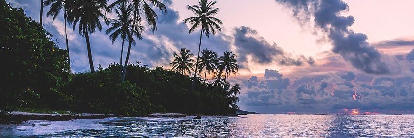 jaquematebb's profile banner image