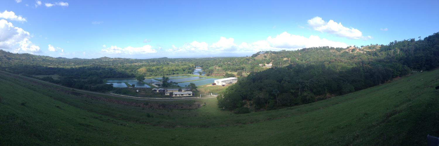 Brittany Kwentua banner