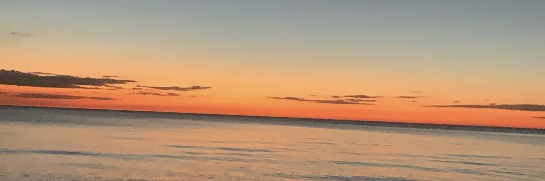 aptormenta's profile banner image