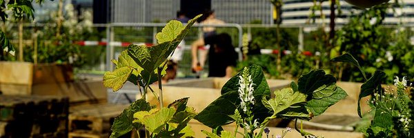 ProjetVU Profile Banner