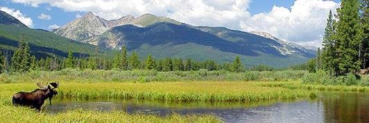 matted1125's profile banner image