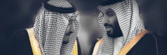 سلطان باجد banner