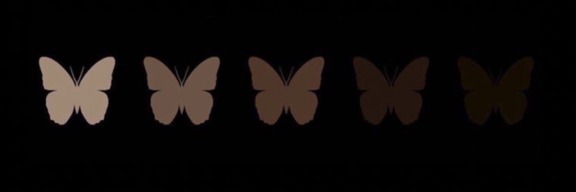 👑 banner