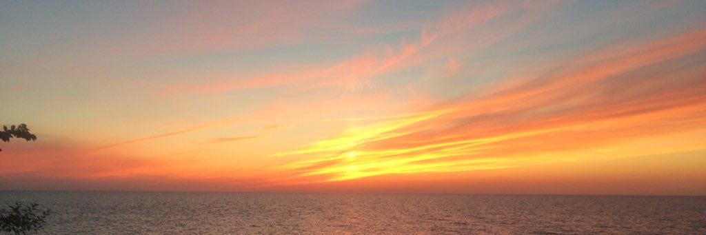 chels_shields's profile banner image