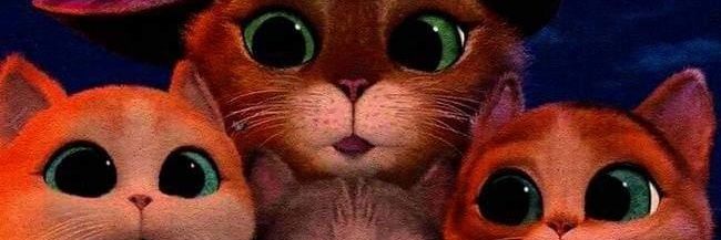 lo0dy44's profile banner image