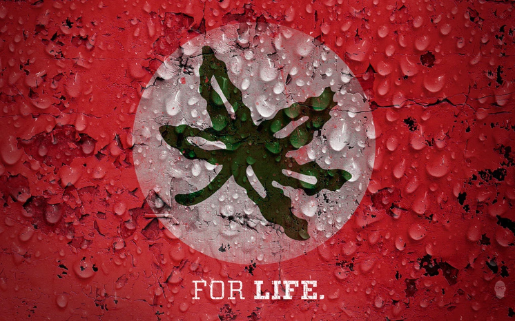 BuckeyeForLife.1 banner