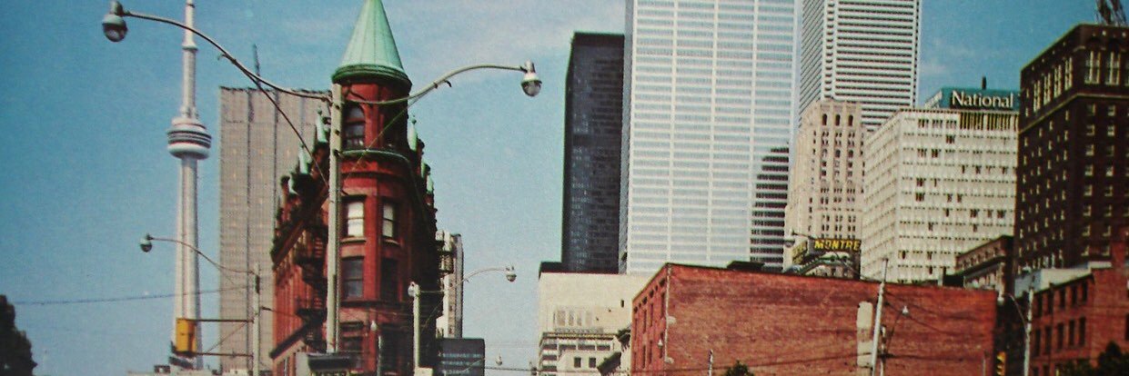 Carolina Repila-Brandi banner