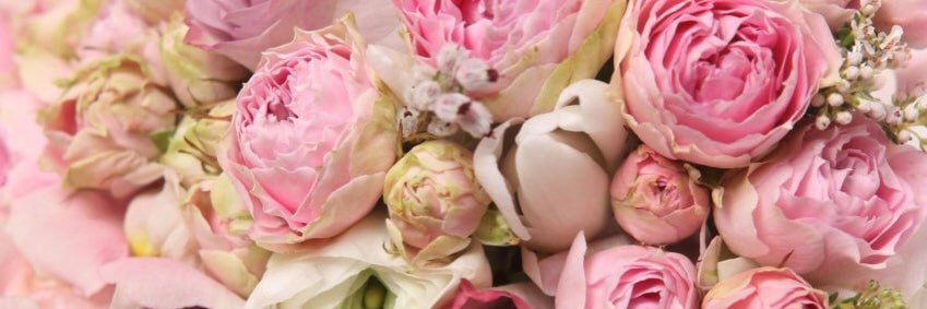 bec_ervin's profile banner image