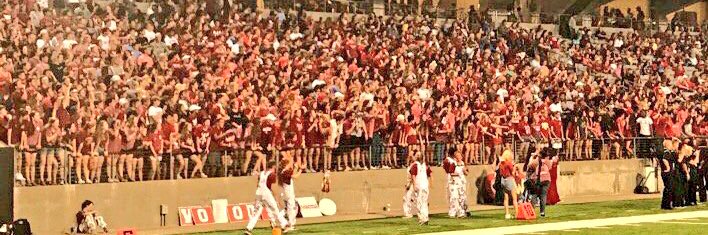 Cy Woods Wildthings banner