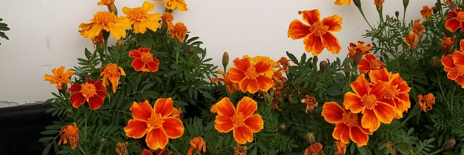 nolab123's profile banner image