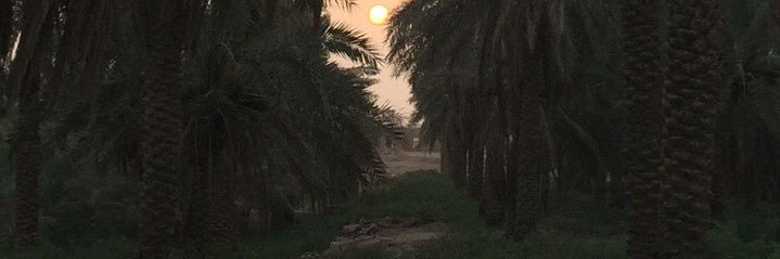 ibrahim3003's profile banner image