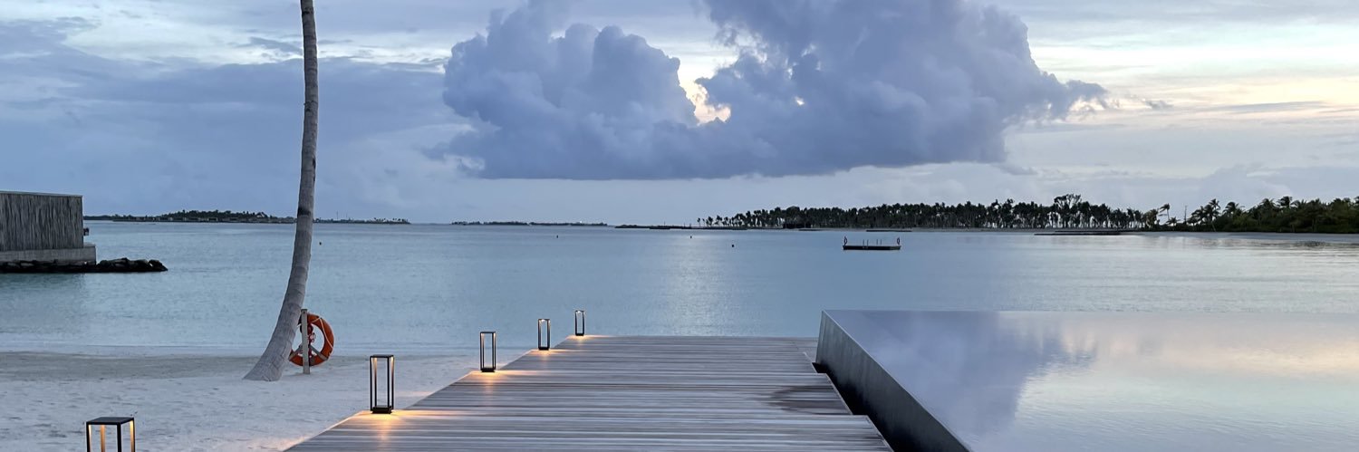 أروى الرشود banner