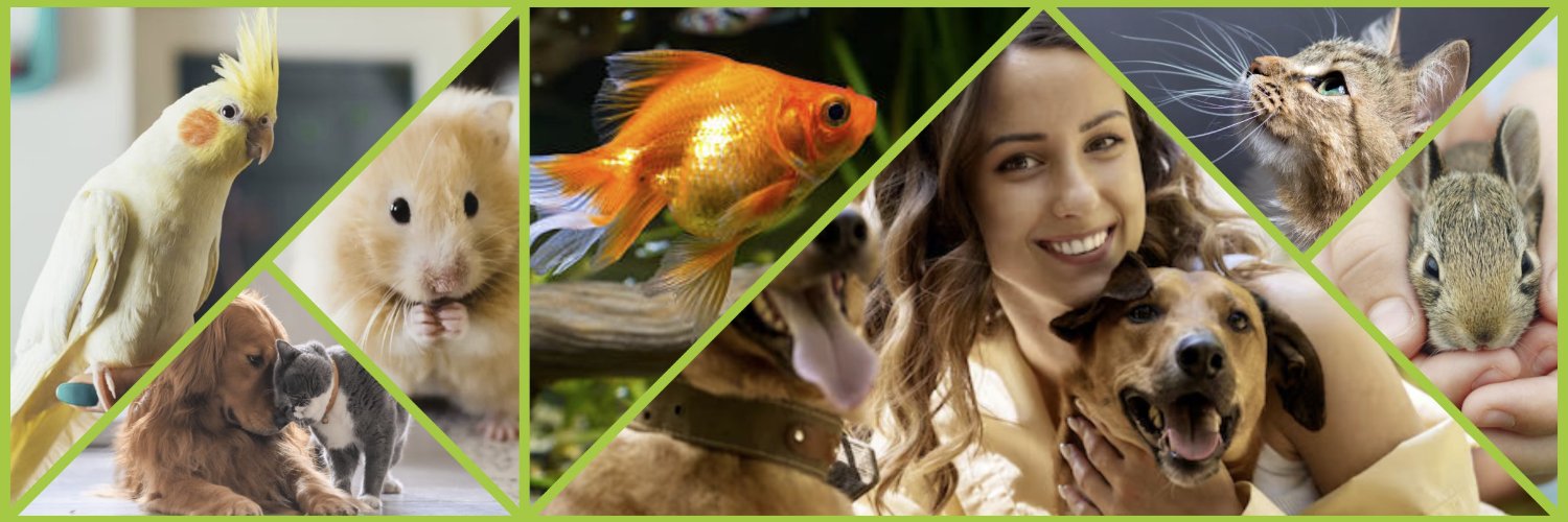 BestPetGuide's profile banner image