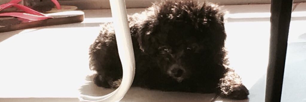 Malu2808's profile banner image